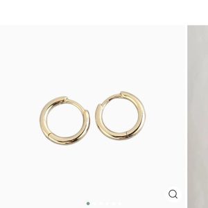 Huggie earrings